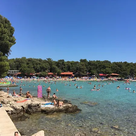 Dom wakacyjny #611 Status Relax Like A Boss Ex 437 Biograd Na Moru