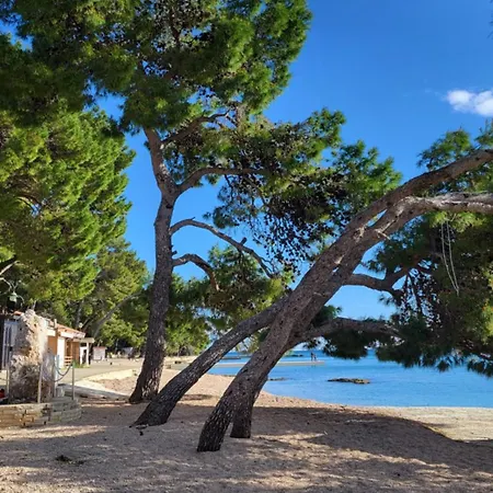 #611 Status Relax Like A Boss Ex 437 Dom wakacyjny Biograd Na Moru