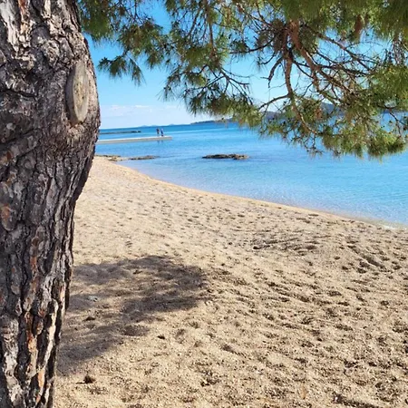 #611 Status Relax Like A Boss Ex 437 * Biograd Na Moru
