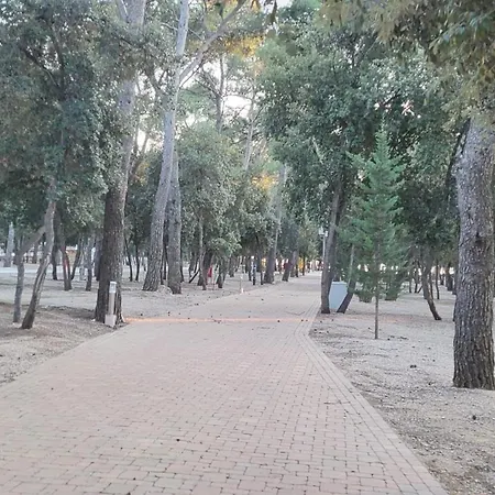 #437 Status Relax Like A Boss Biograd Na Moru