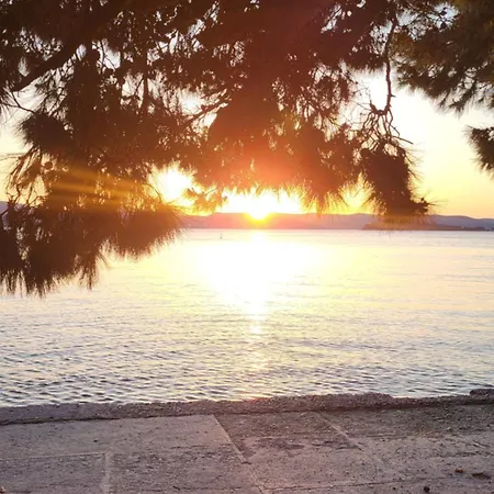 #611 Status Relax Like A Boss Ex 437 * Biograd Na Moru