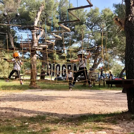#611 Status Relax Like A Boss Ex 437 Biograd Na Moru