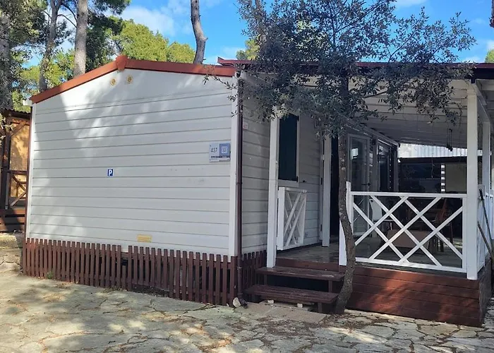 #437 Status Relax Like A Boss