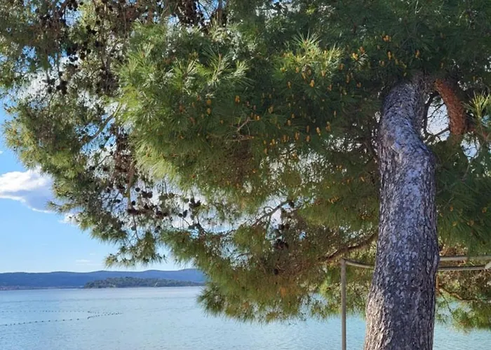 #437 Status Relax Like A Boss Holiday home