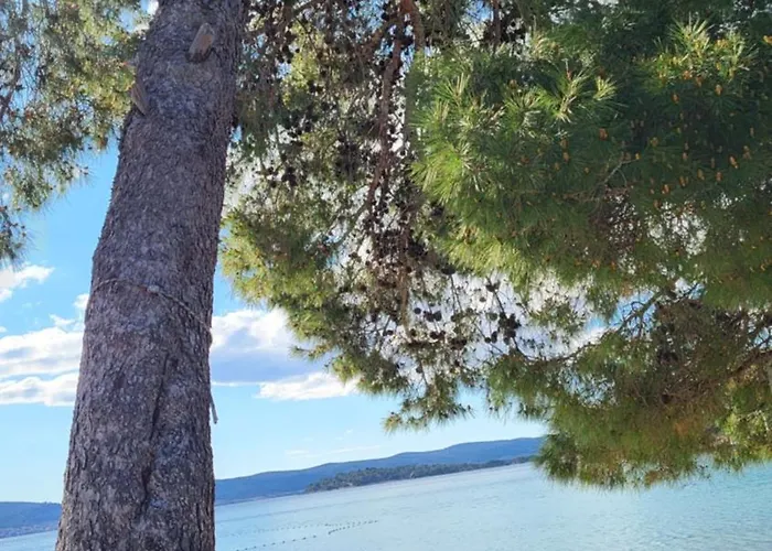 Tatil Evi #611 Status Relax Like A Boss Ex 437