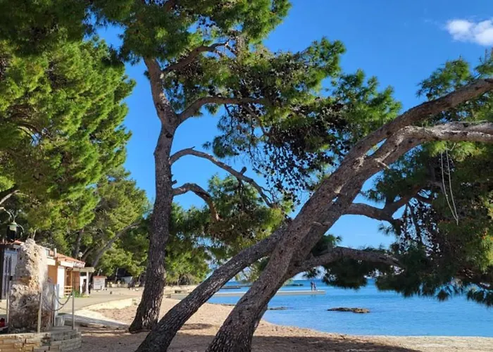 #437 Status Relax Like A Boss Holiday home Biograd Na Moru