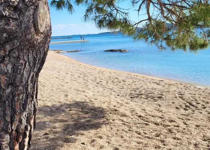 #437 Status Relax Like A Boss * Biograd Na Moru