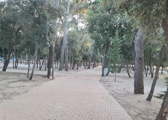 #437 Status Relax Like A Boss Biograd Na Moru