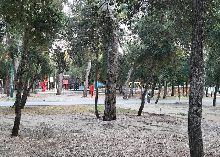 #437 Status Relax Like A Boss