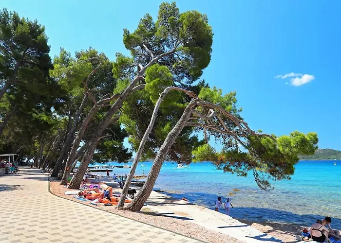 #437 Status Relax Like A Boss *