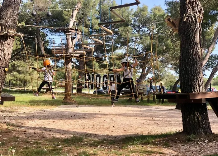 #437 Status Relax Like A Boss Biograd Na Moru