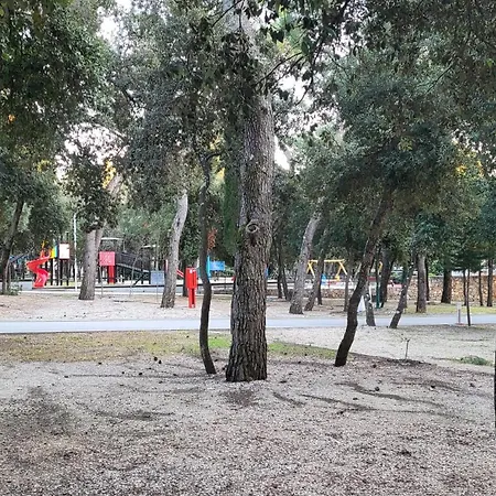 #437 Status Relax Like A Boss