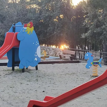 #437 Status Relax Like A Boss *