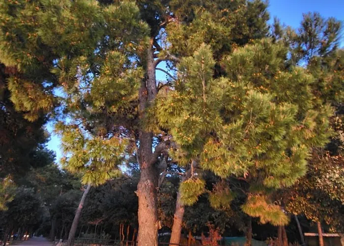 בית נופש #437 Status Relax Like A Boss *