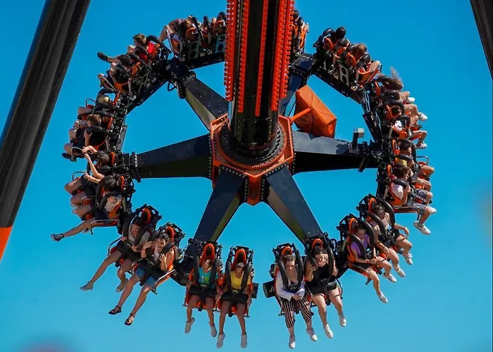 #437 Status Relax Like A Boss ביוגראד נה מורו